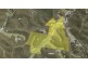 Lot 6/17/27 Putty Road, Putty NSW 2330