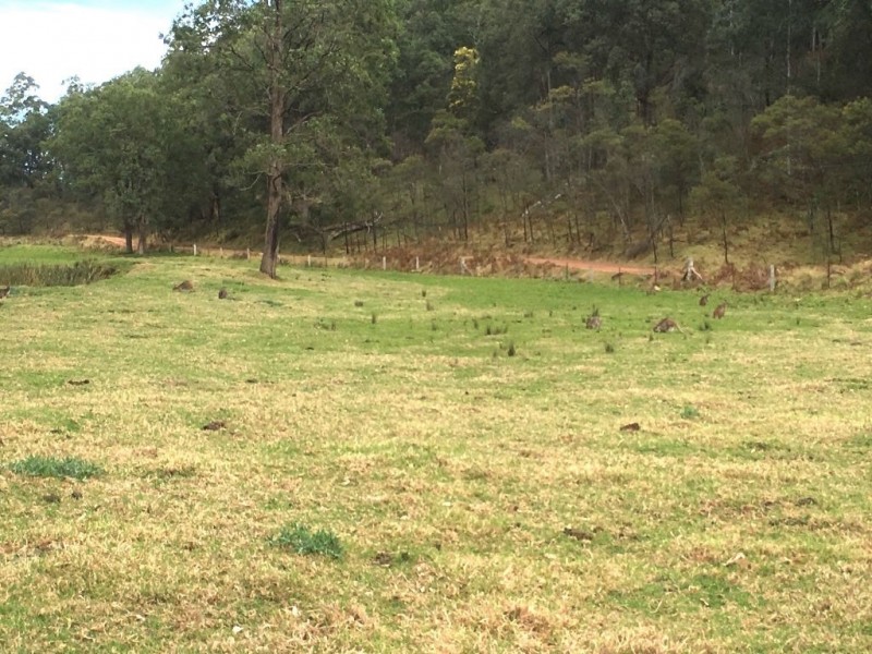 1800 Putty Valley Road, Putty NSW 2330