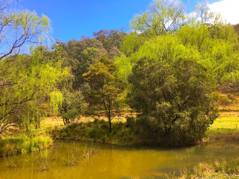 1800 Putty Valley Road, Putty NSW 2330