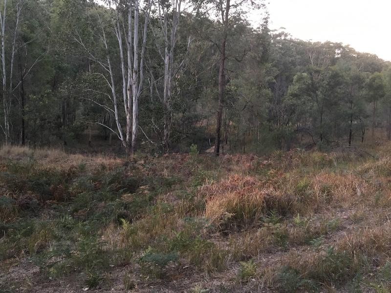 8870 Putty Road, Putty NSW 2330