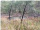 8870 Putty Road, Putty NSW 2330