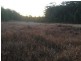 8870 Putty Road, Putty NSW 2330