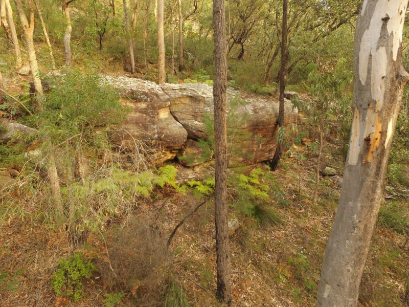 1200 Putty Road, Blaxlands Ridge NSW 2758