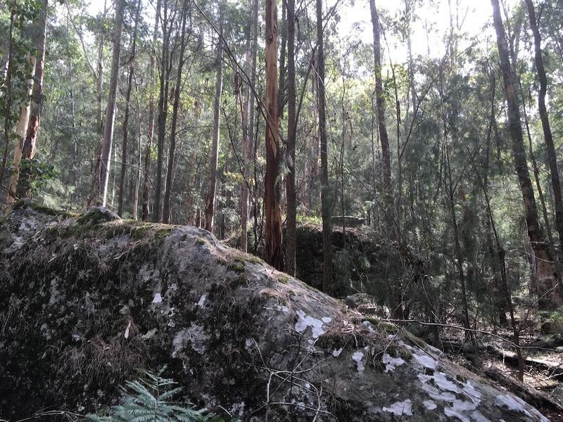 L6 Bakers Road, Putty NSW 2330