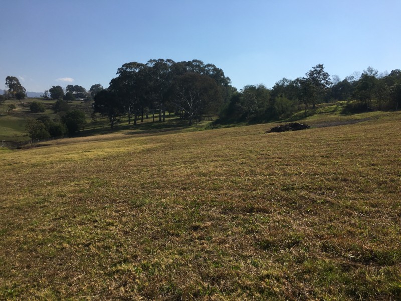 16 KALDOW LANE, Grose Vale NSW 2753