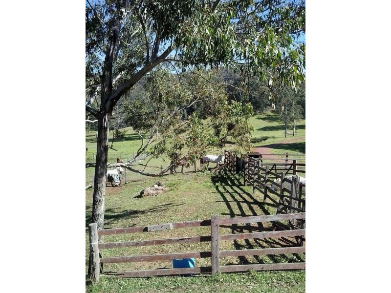 1 Yengo Drive, Putty NSW 2330