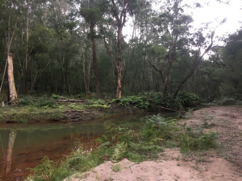 89 ROBERTS CREEK ROAD, East Kurrajong NSW 2758