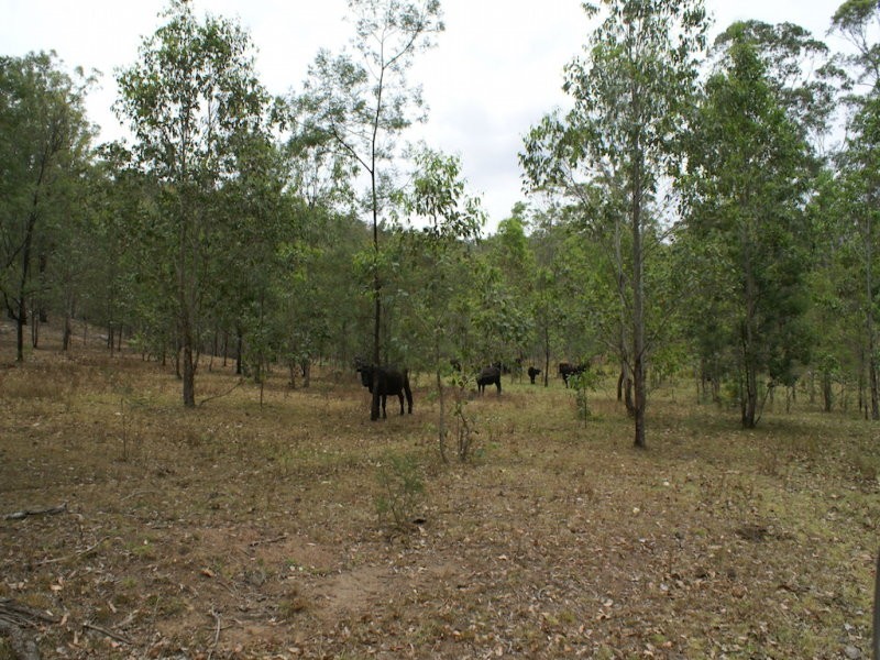 L20 Bunjim Drive, Putty NSW 2330