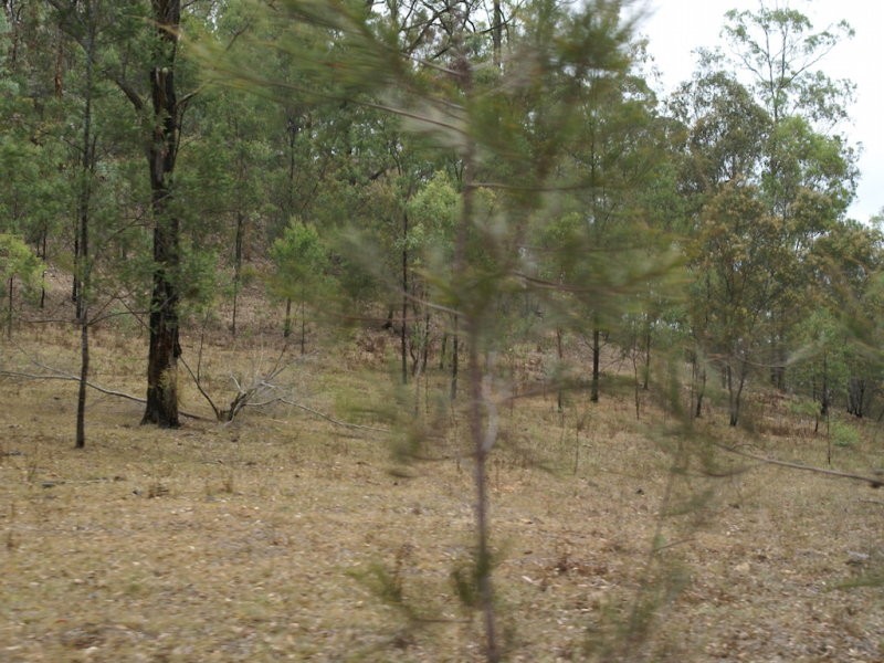 L20 Bunjim Drive, Putty NSW 2330