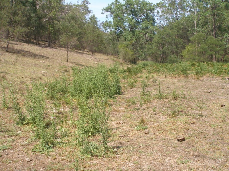 L20 Bunjim Drive, Putty NSW 2330