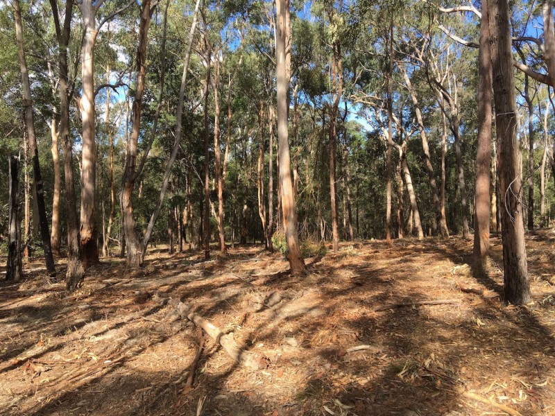 1006A Comleroy Road, Kurrajong NSW 2758