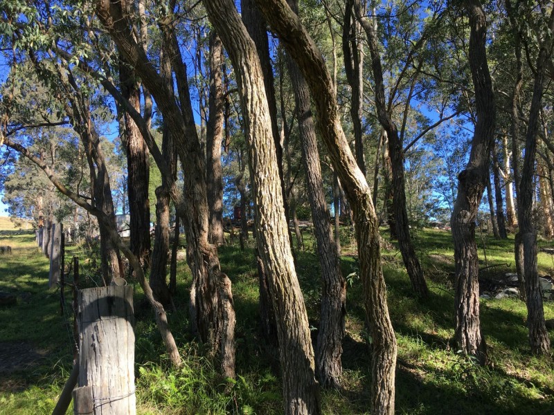 Howes Valley NSW 2330