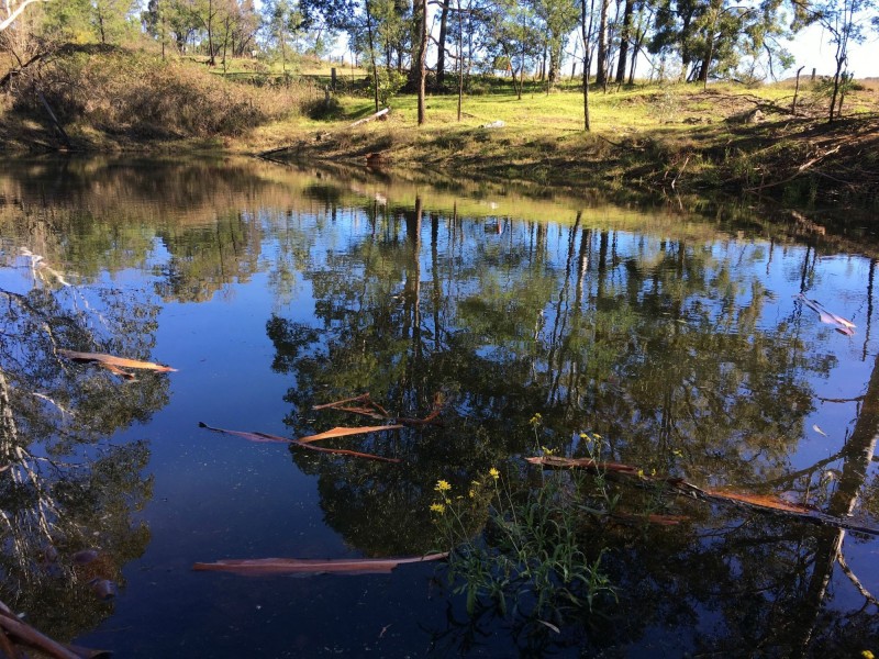 Howes Valley NSW 2330