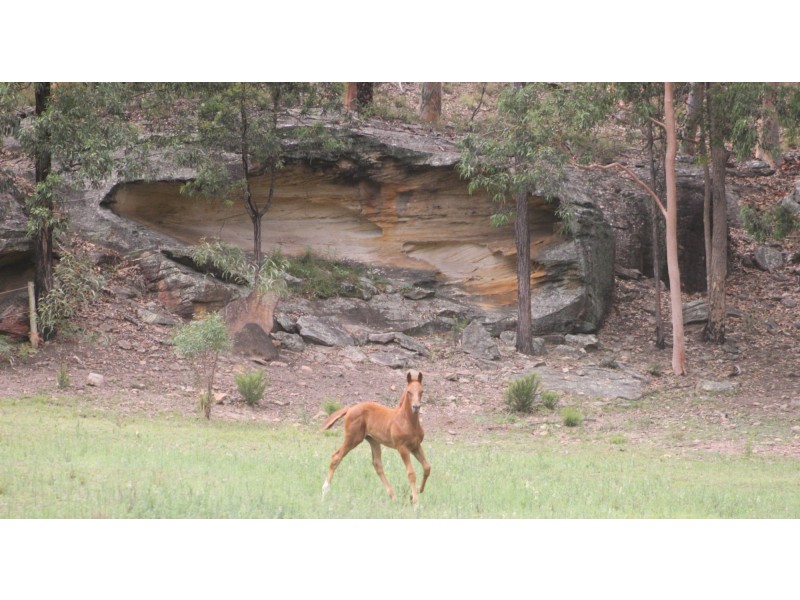 Lot 8 Roswill Drive, Putty NSW 2330