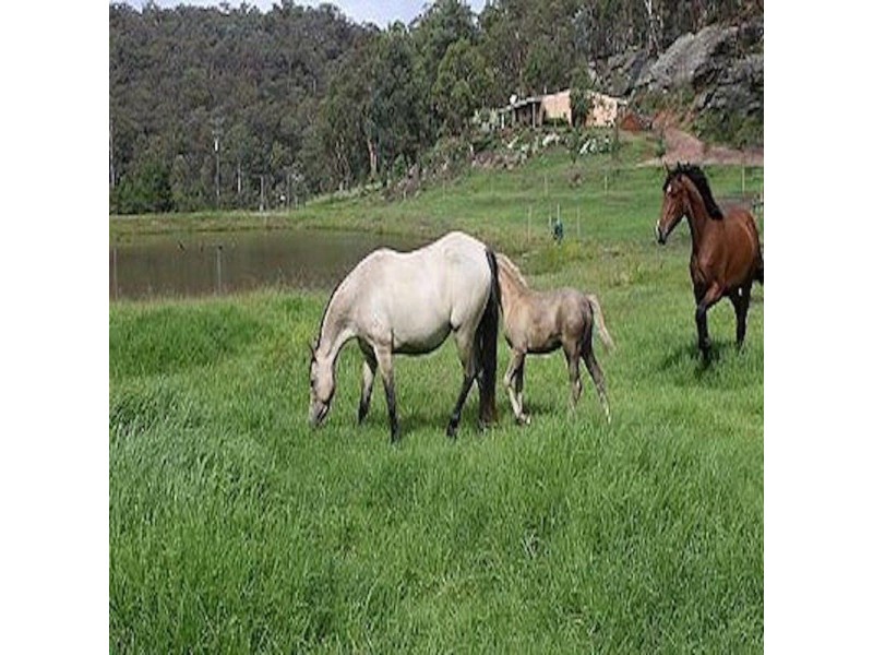 Lot 8 Roswill Drive, Putty NSW 2330