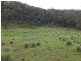 Lot 102 Putty Road, Howes Valley NSW 2330