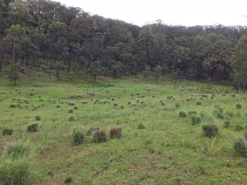 Lot 102 Putty Road, Howes Valley NSW 2330
