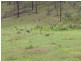 Lot 102 Putty Road, Howes Valley NSW 2330