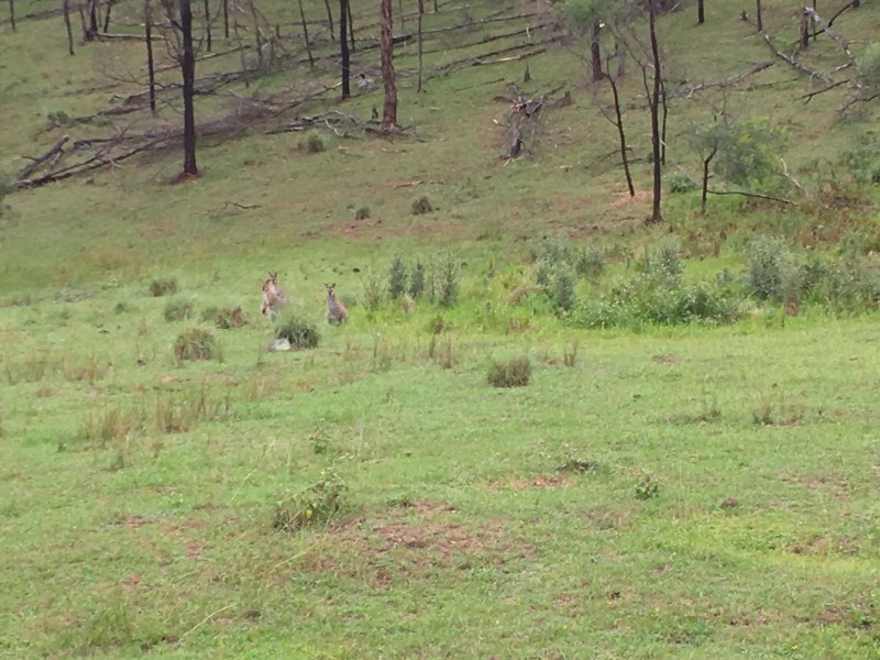Lot 102 Putty Road, Howes Valley NSW 2330