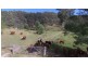 Putty NSW 2330