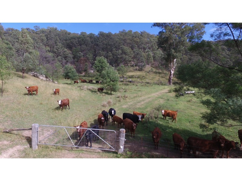 Putty NSW 2330