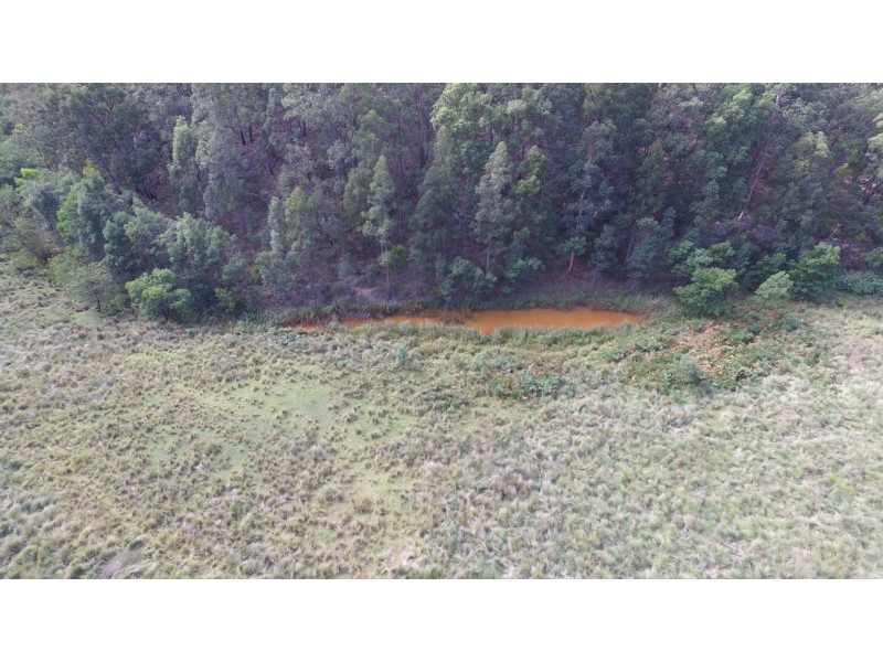 Putty NSW 2330