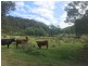 Putty NSW 2330