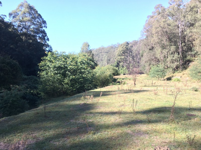 Putty NSW 2330
