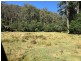 Putty NSW 2330