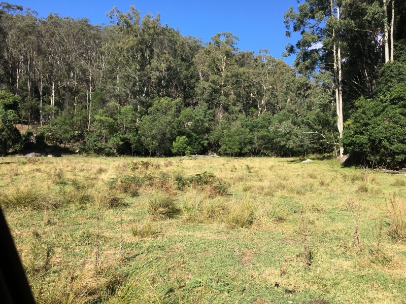 Putty NSW 2330