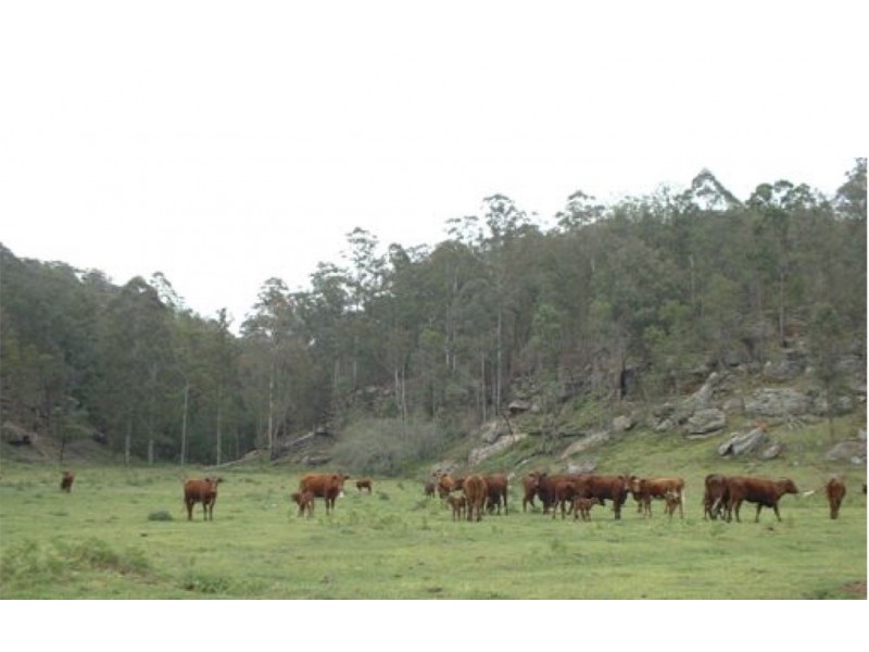 Putty NSW 2330