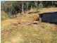 Putty NSW 2330