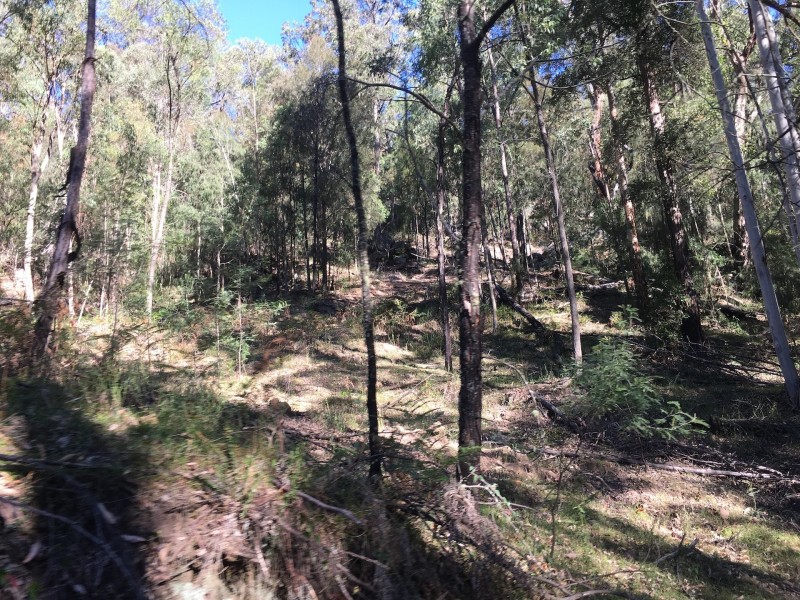 Putty NSW 2330