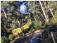 Putty NSW 2330
