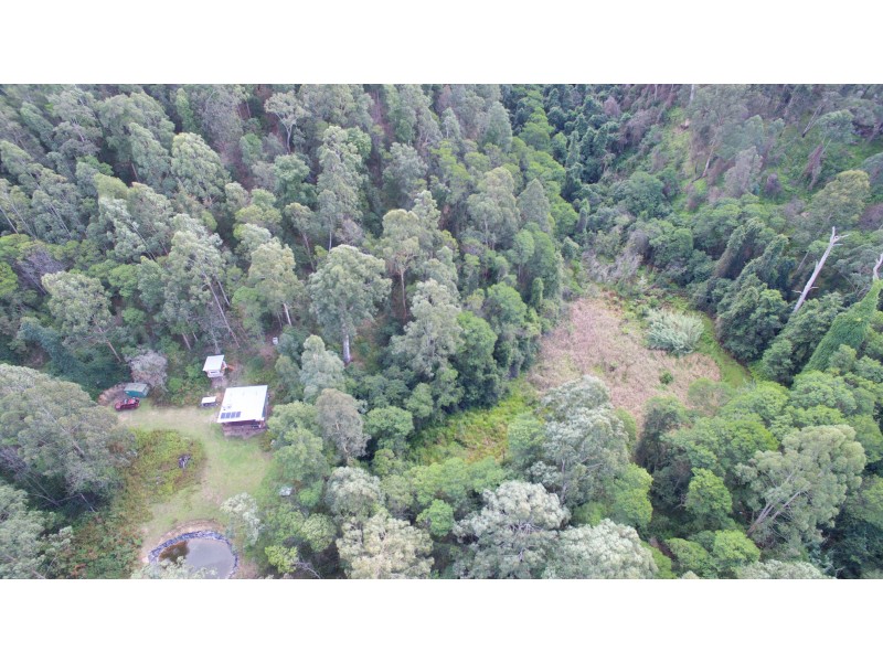 Putty NSW 2330