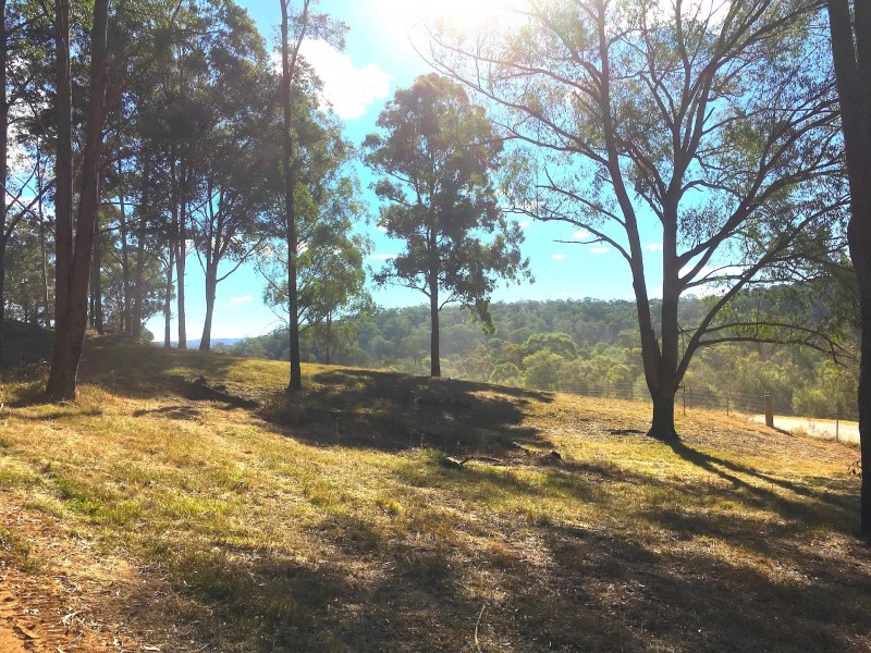 Putty NSW 2330