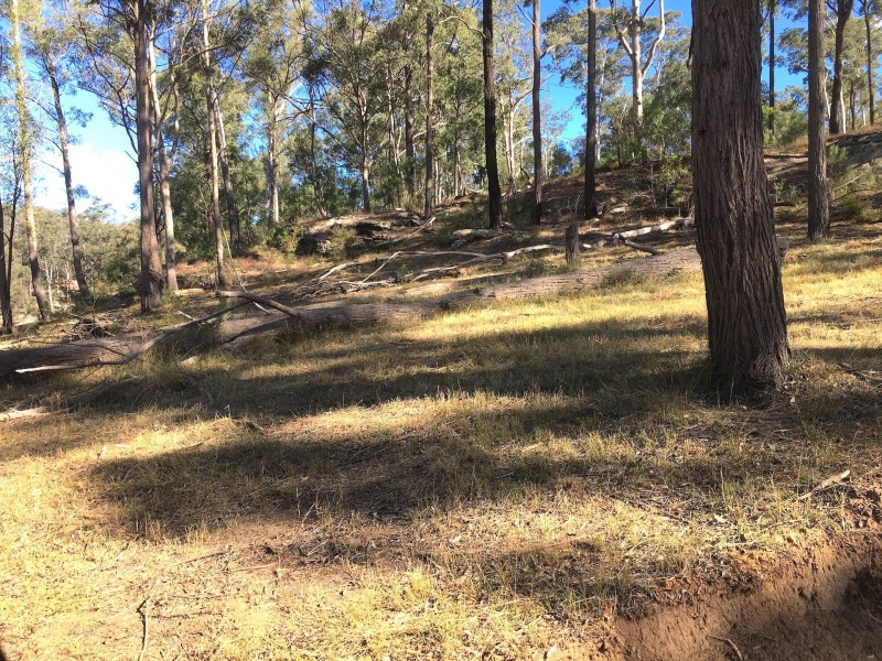 Putty NSW 2330