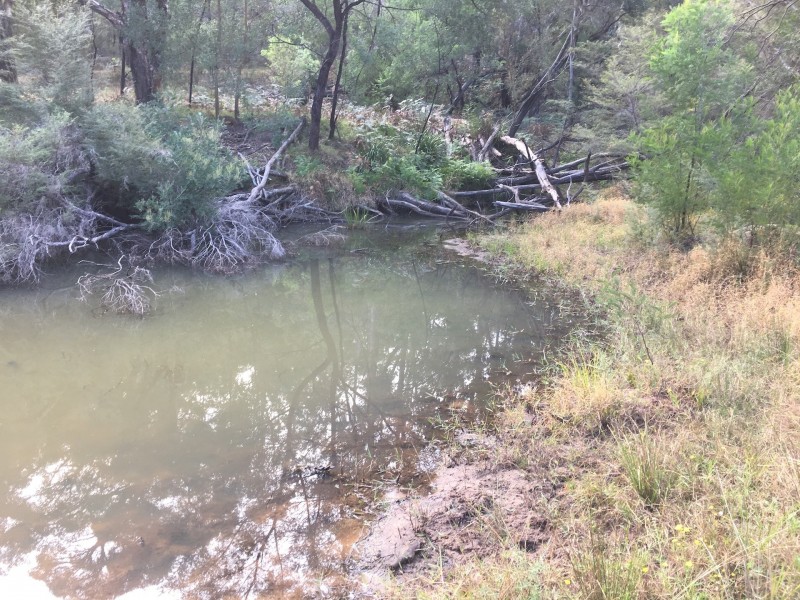Putty NSW 2330