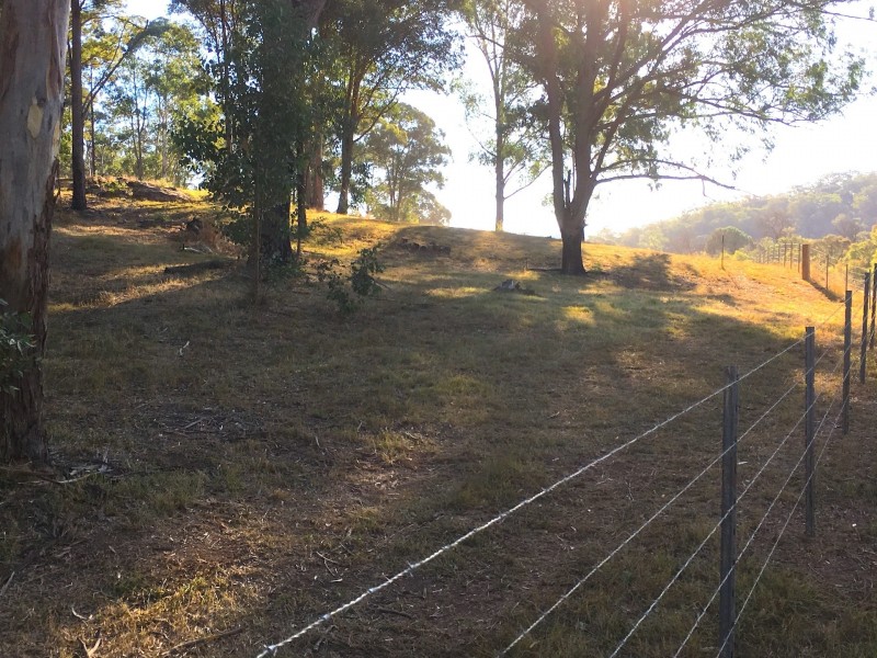 Putty NSW 2330
