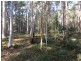 Putty NSW 2330