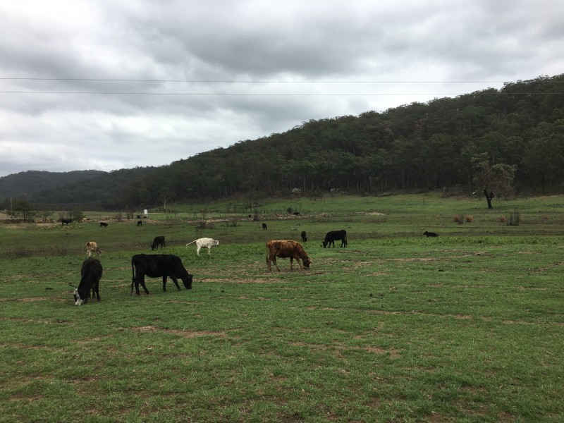 Lot 6/17/27 Putty Road, Putty NSW 2330