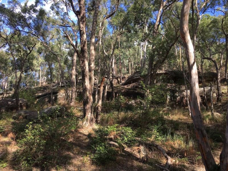 4 Upper Colo Rd, Colo NSW 2756