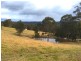 42 Cabbage Tree Road, Kurrajong NSW 2758