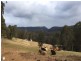 42 Cabbage Tree Road, Kurrajong NSW 2758