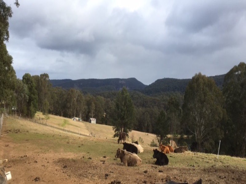 42 Cabbage Tree Road, Kurrajong NSW 2758