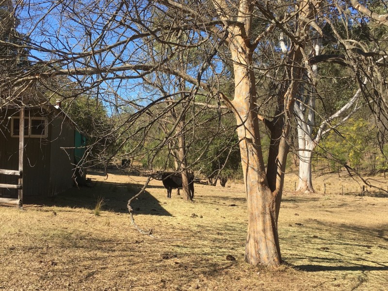 1780 Putty Valley Rd, Putty NSW 2330