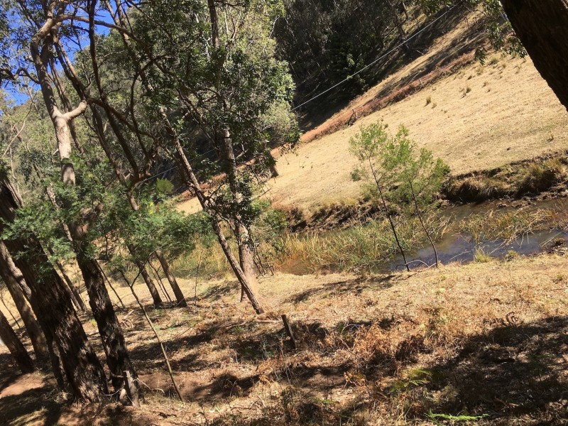 1780 Putty Valley Rd, Putty NSW 2330