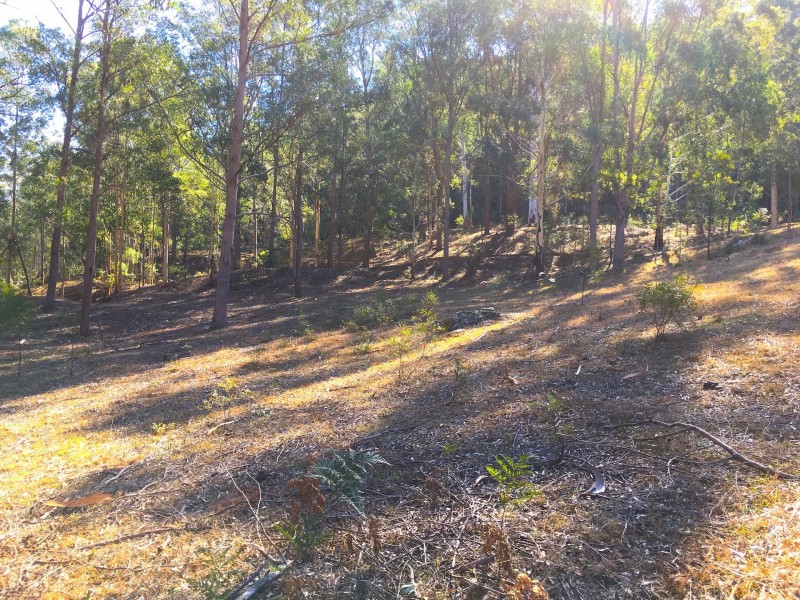 1780 Putty Valley Rd, Putty NSW 2330