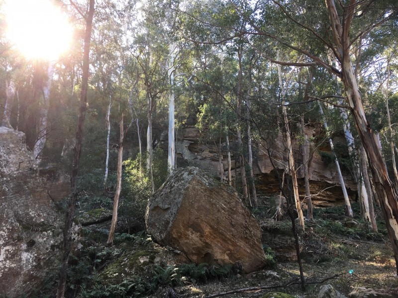 1780 Putty Valley Rd, Putty NSW 2330