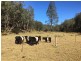 1780 Putty Valley Rd, Putty NSW 2330